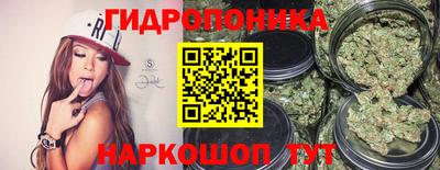 прущие крисы Канаш