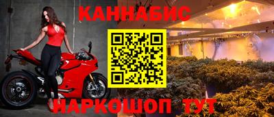 Альфа ПВП Камышлов