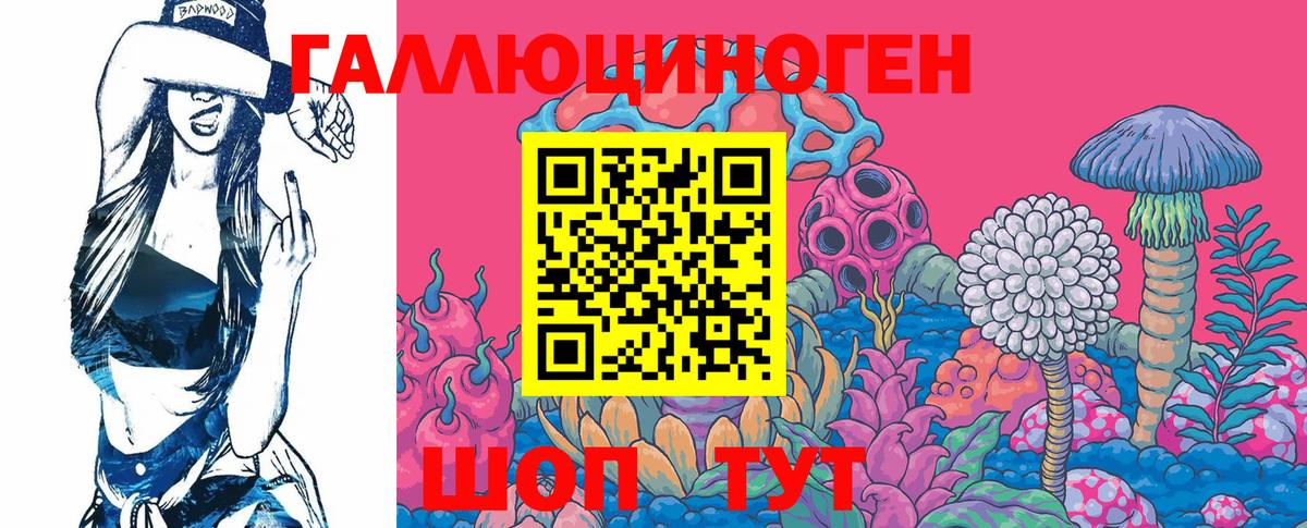 Галлюциногенные грибы Cubensis  Вход с VPN  Магадан  Галлюциногенные грибы GOLDEN TEACHER 
