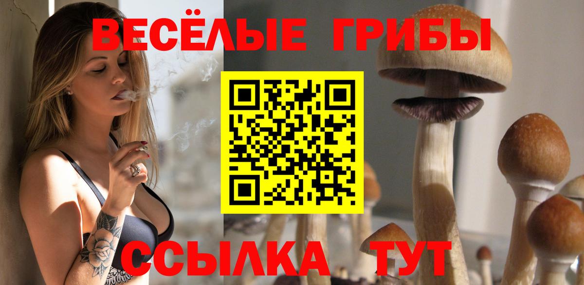 Галлюциногенные грибы ЛСД Магадан